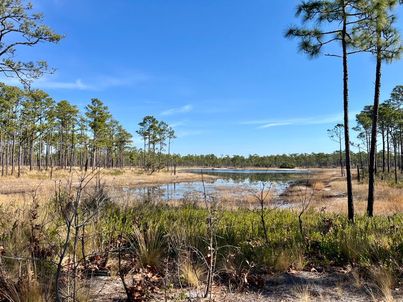 Croatan National Forest Routes With Coastal Chill