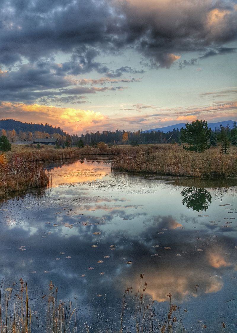 Seasonal Rhythm From Snow To Sun