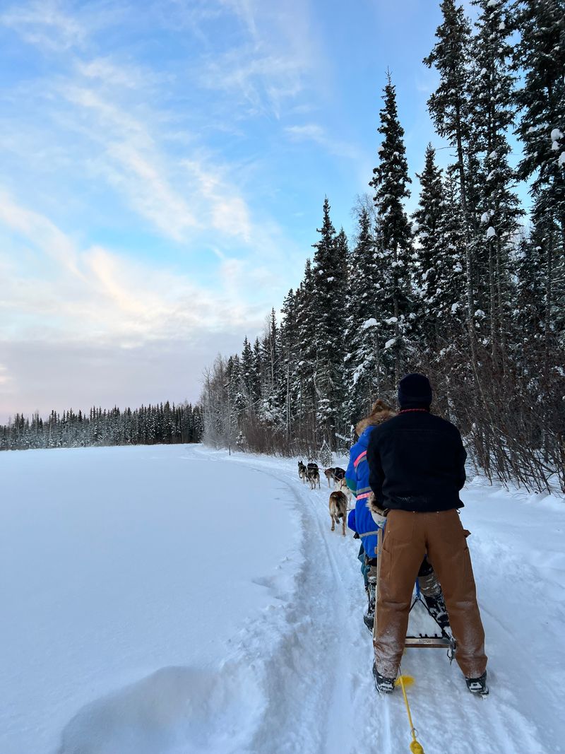 Dog Sledding Adventures Channel Your Inner Musher Through Winter Wonderlands