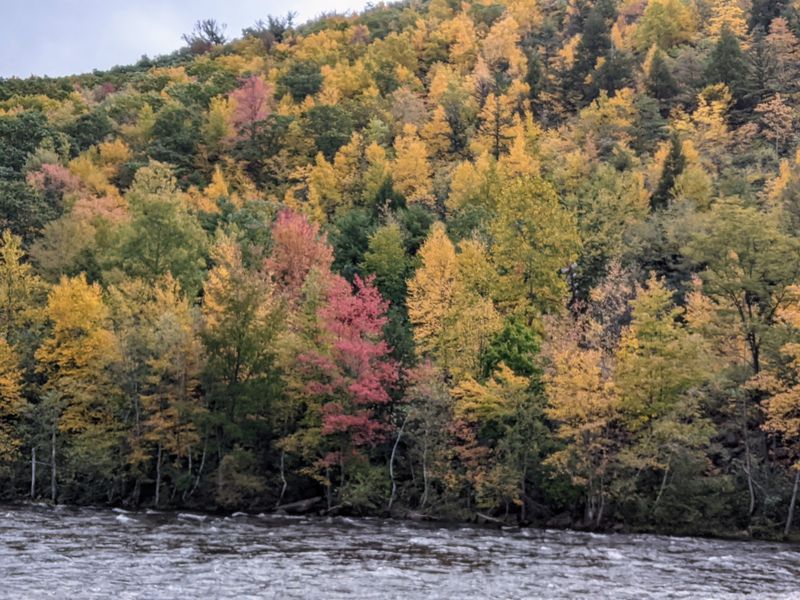 Lehigh Gorge Scenery In Winter Quiet