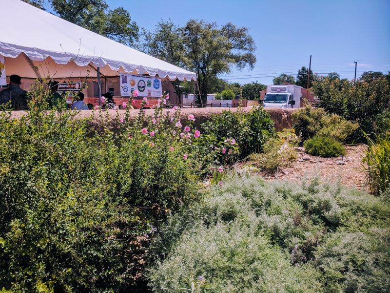 New Mexico Prickly Pear Festival, Albuquerque