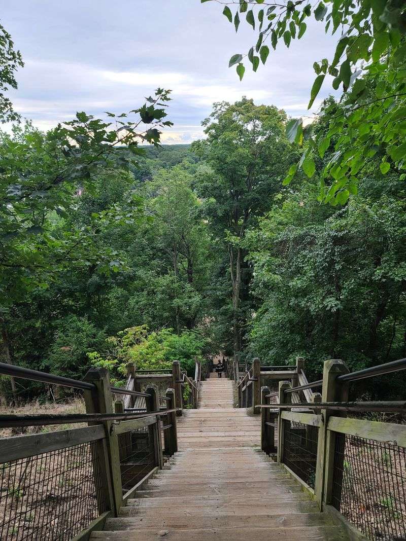 Mount Baldhead Park and Stair Climb