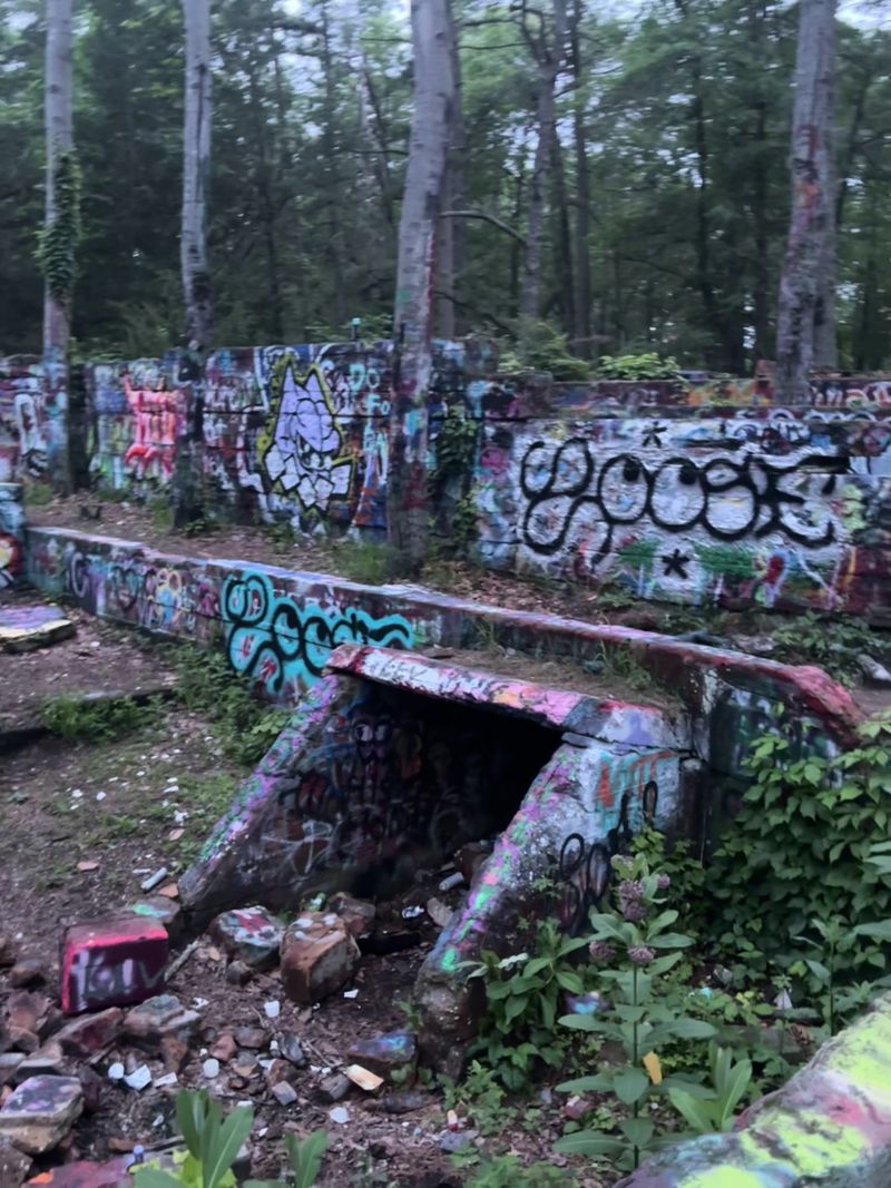 Brooksbrae Brick Factory Ruins, Pine Barrens