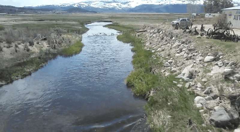 World Class Trout Water on the East Walker