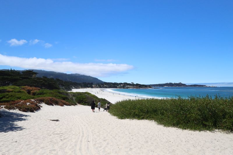 Carmel River State Beach