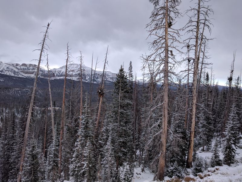 Mirror Lake Scenic Byway (Highway 150)