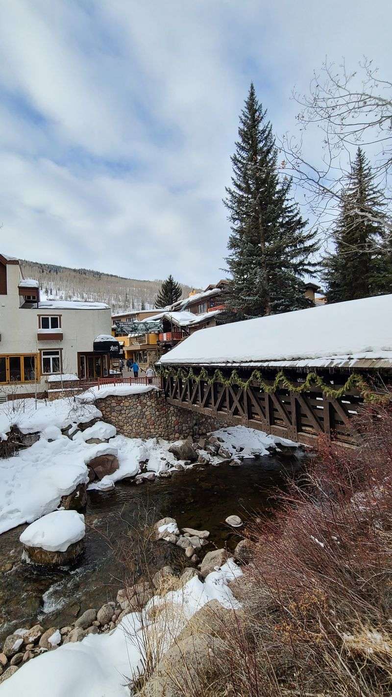 Rio Grande Gorge Bridge Views