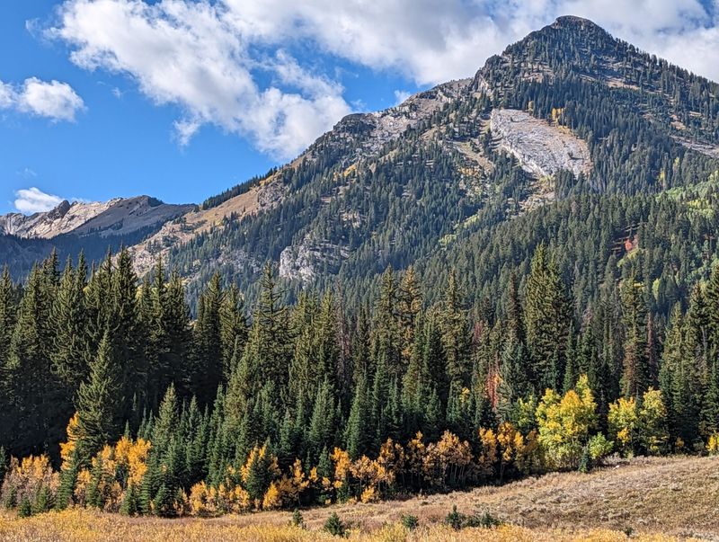 First Pullout And The Big Wow