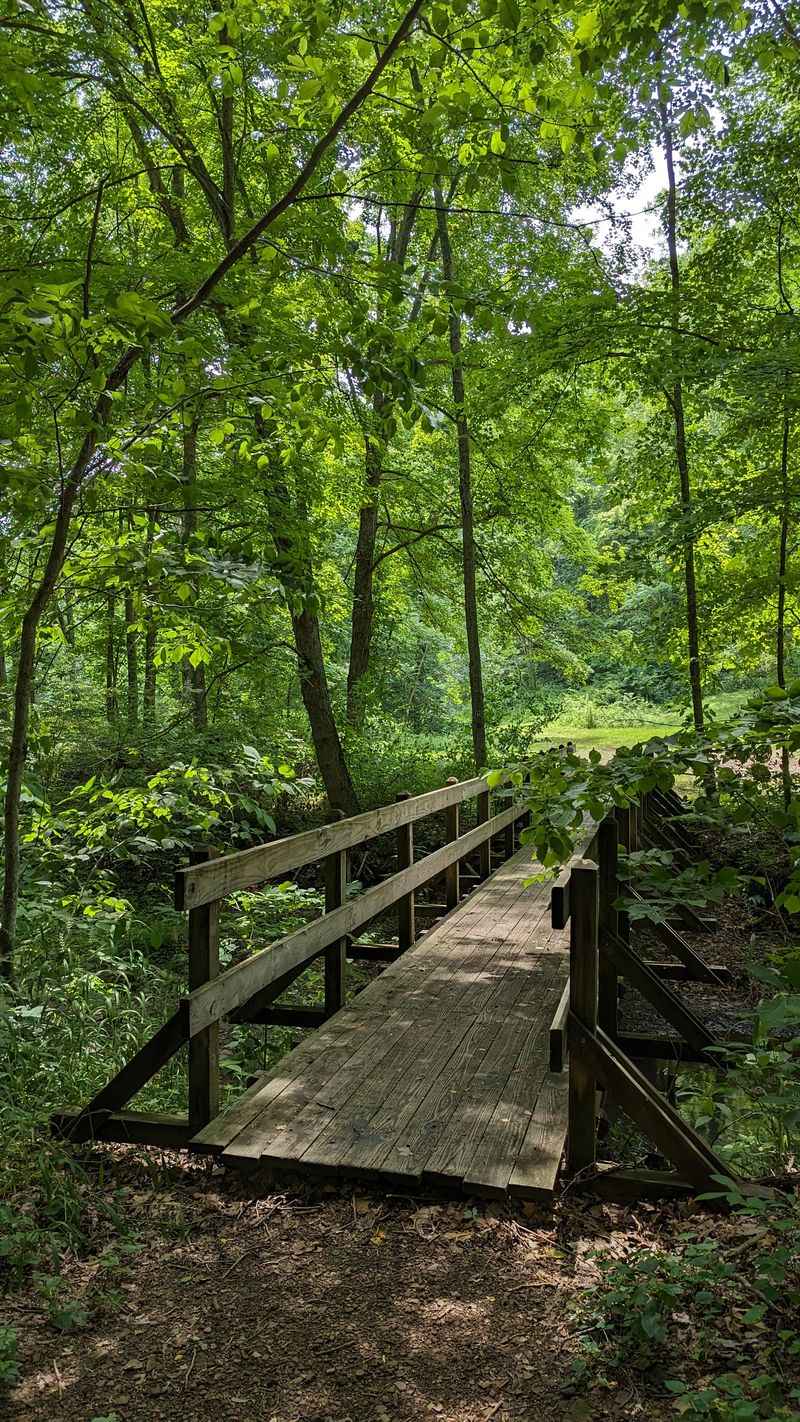 Tar Hollow State Forest
