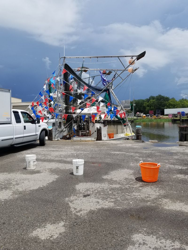 Delcambre Shrimp Festival