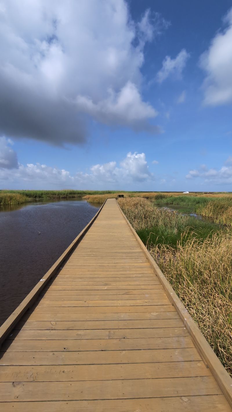 Anahuac National Wildlife Refuge