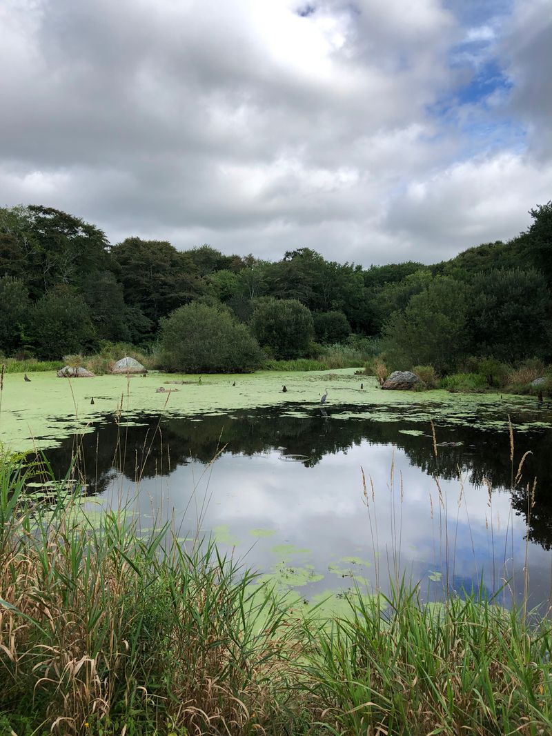 The relaxed pace that wins you over