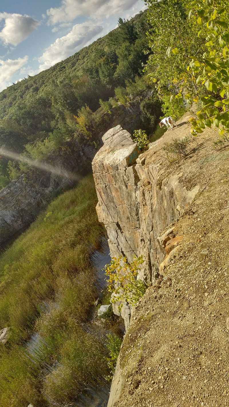 Photography tips for capturing stone textures and forest light