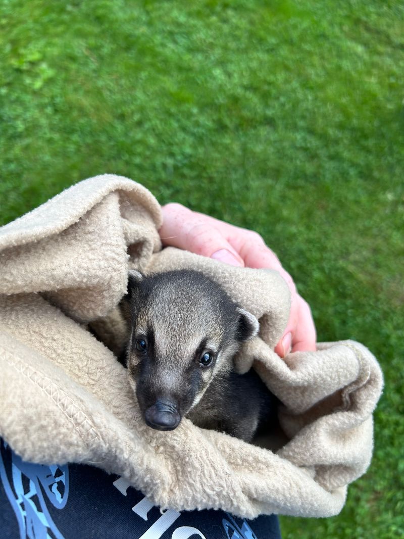 Wildlife Encounters Create Moments of Pure Wonder