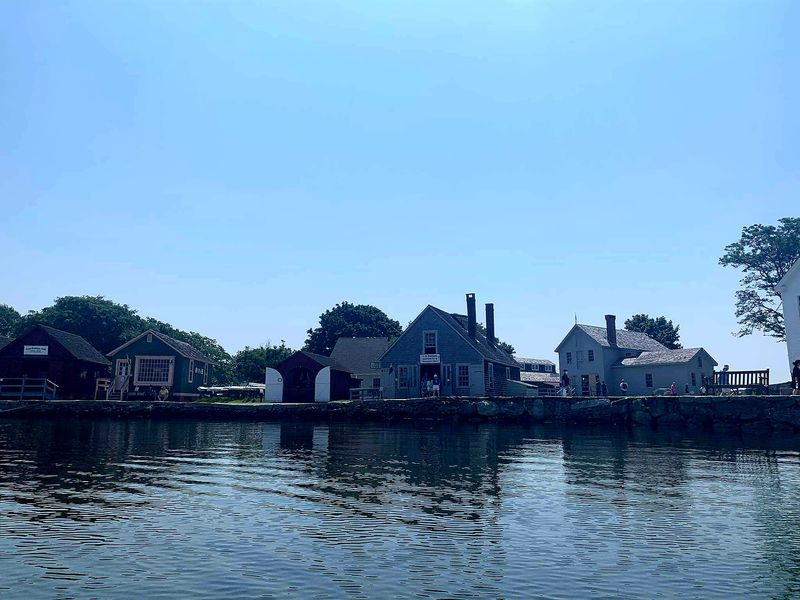 Horse And Carriage Touch At The Village