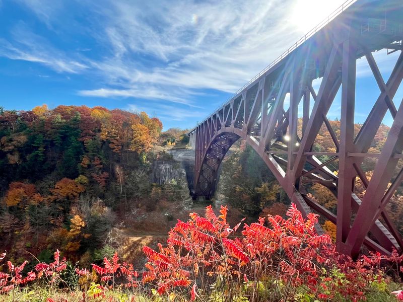 Wildlife Watching Without Disturbance