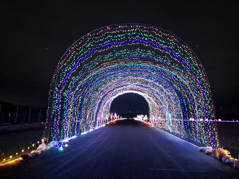 Nostalgia for the Portland That Used to Be