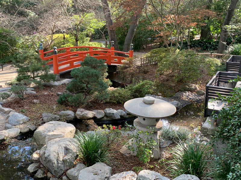 Japanese Garden Serenity Meets Modern Illumination