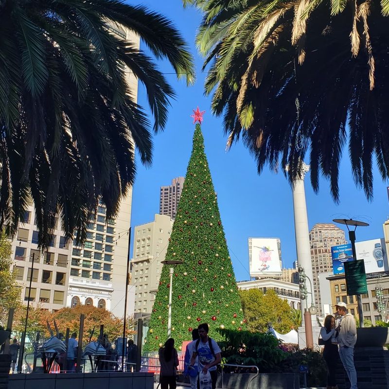 Unrealistic Expectations Meet Real City Life