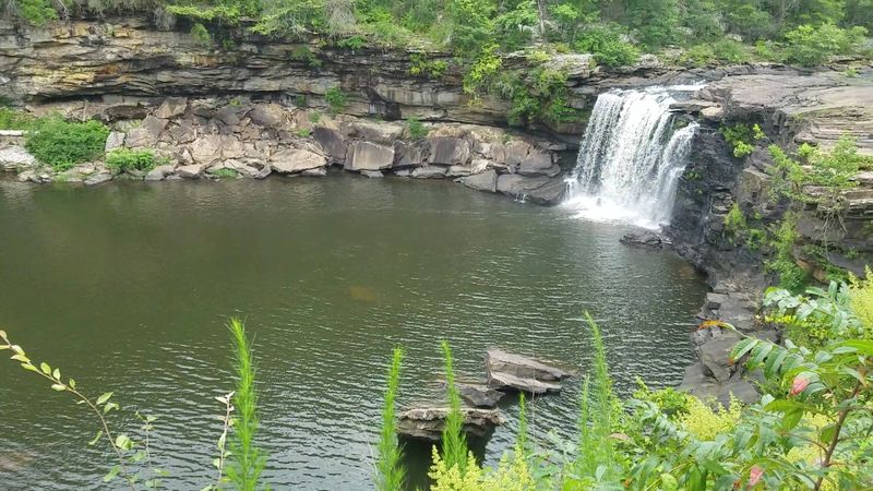 Wildlife Watching Along the Drive