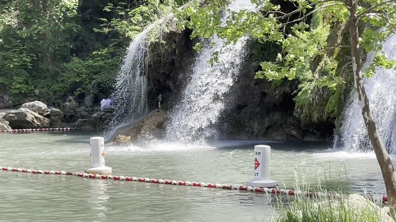 Peaceful Trails and Forest Exploration