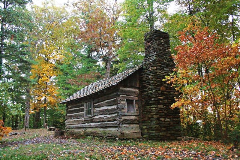 Arts, history, and living traditions