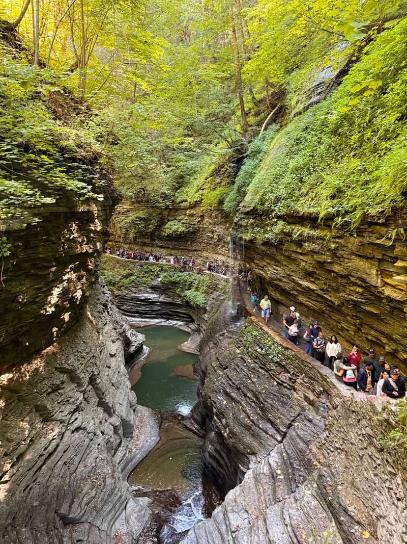 Accessibility, safety, and stewardship