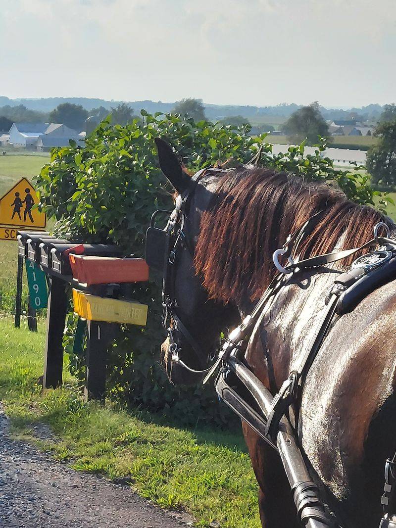 A respectful invitation to slow travel