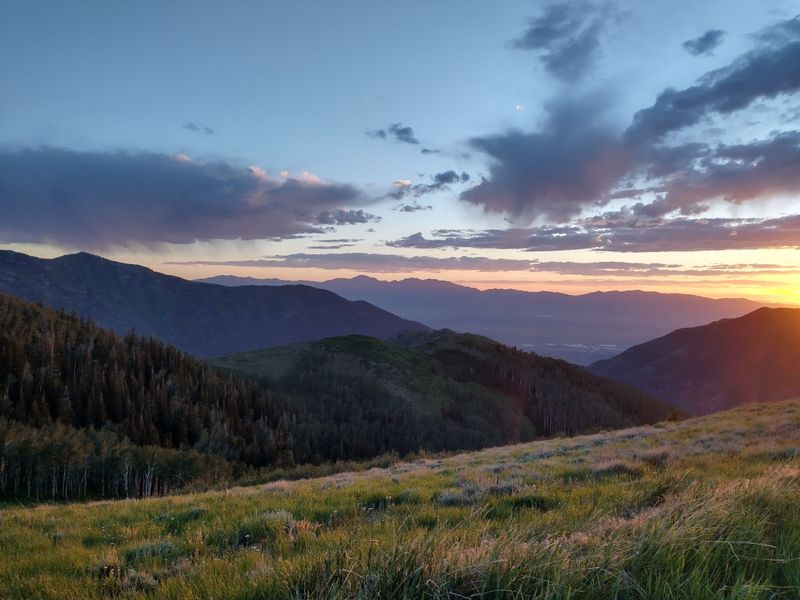 Getting There And Seeing Responsibly