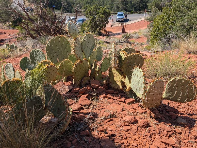 “We Don’t Go There”: Spots Locals Skip And What They Choose Instead