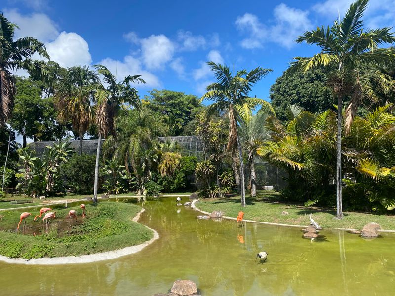 Honolulu Zoo family friendly corners