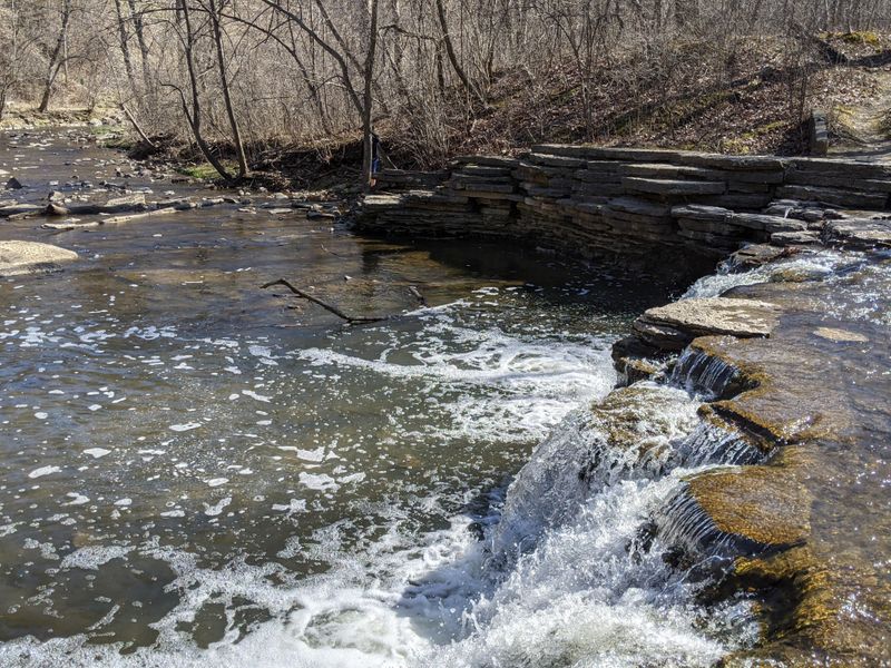 Waterfall Glen Forest Preserve