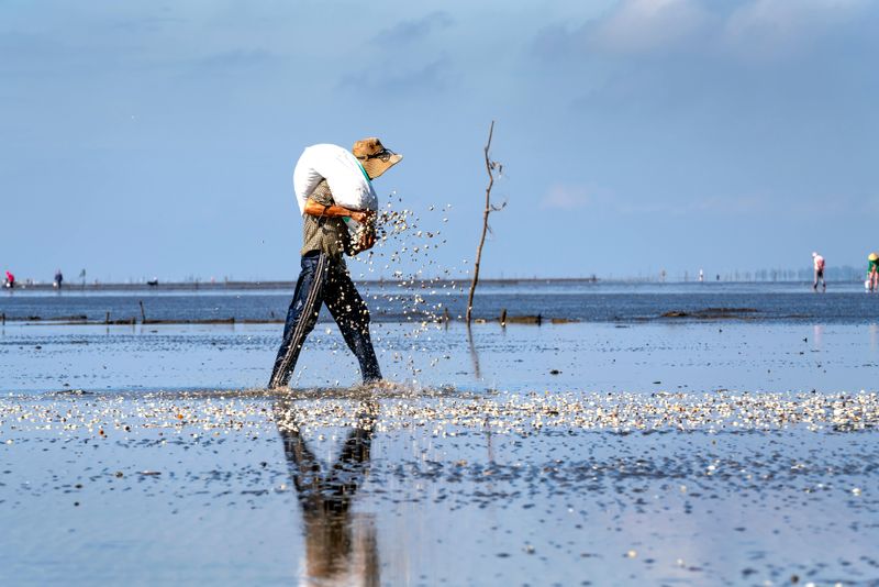 Harvesting Shellfish in Closed Areas