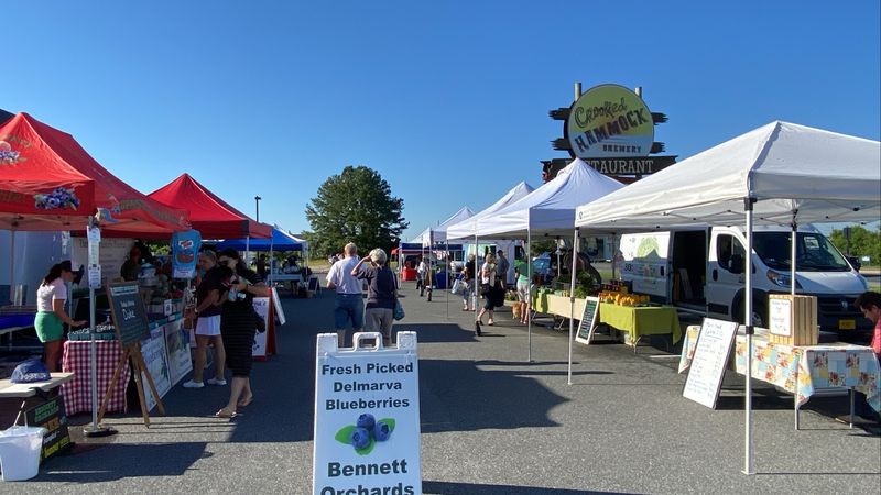 Lewes Farmers Market and Local Food Culture