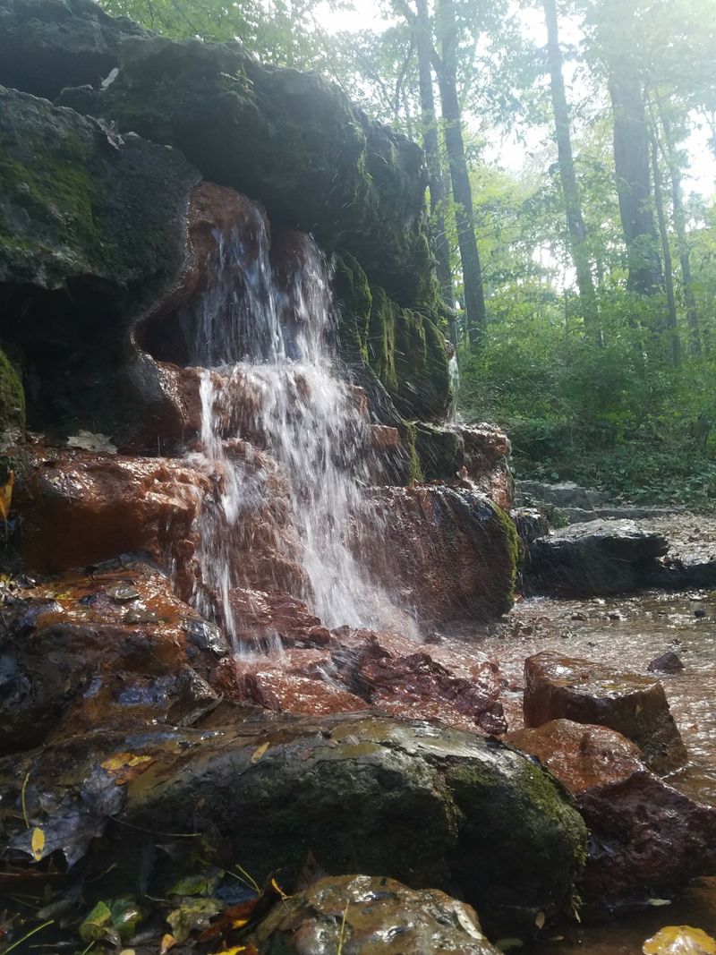 Nature Preserves That Shape the Village’s Peaceful Rhythm