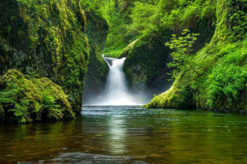 Columbia River Gorge Old Growth at Eagle Creek Corridor