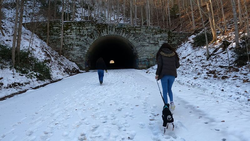 Golden Hour On The Treetop At Road To Nowhere Tunnel