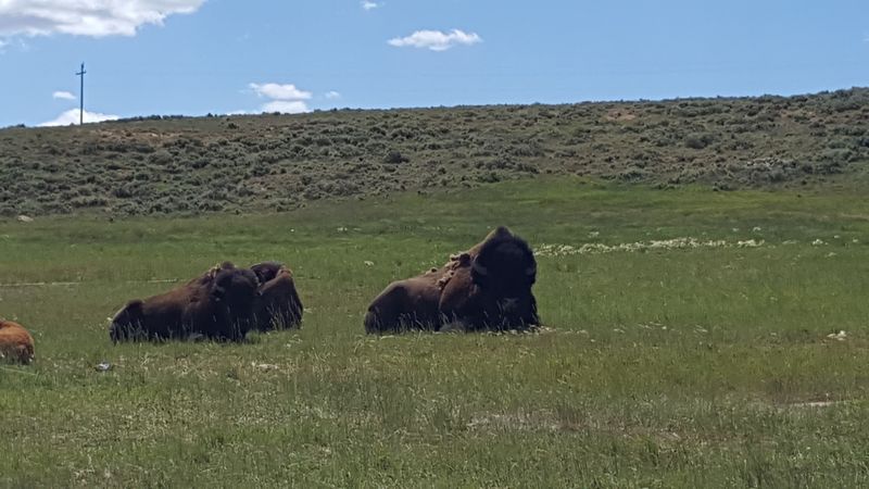 Bear River State Park Viewing Areas