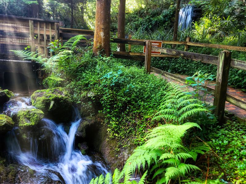 Rainbow Springs Former Theme Park Ruins