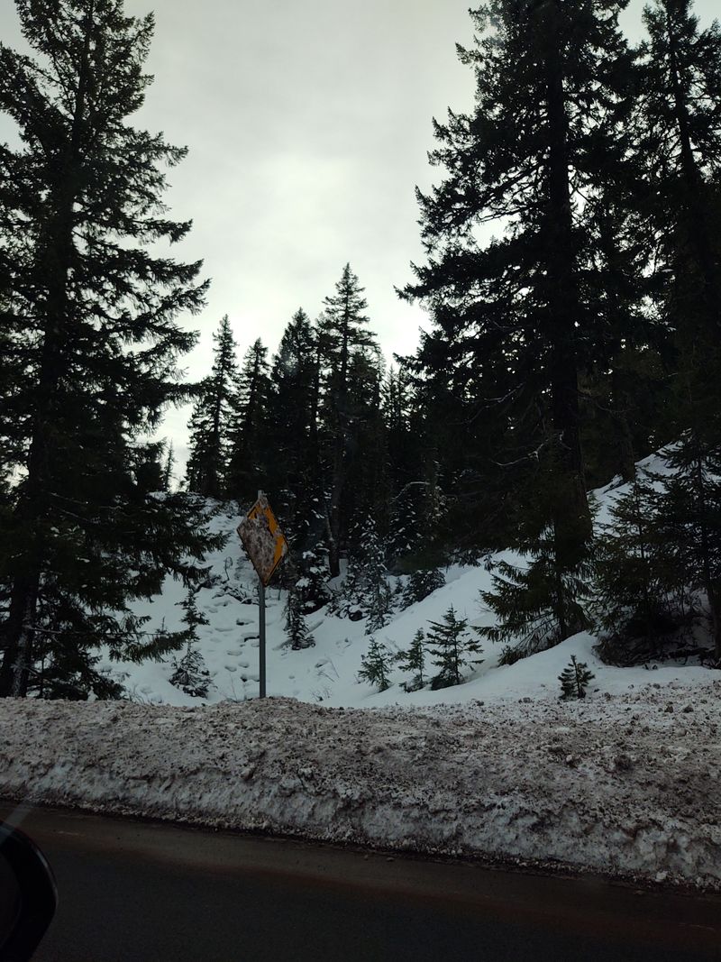 Cosmic Tubing at Mt. Hood Skibowl