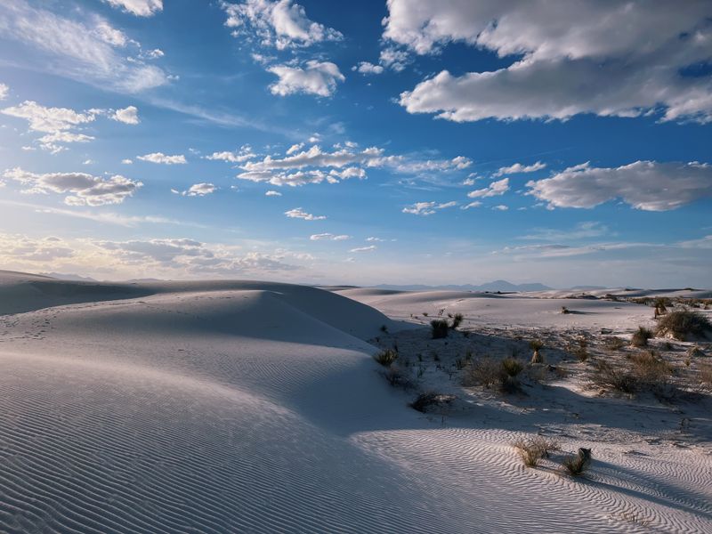 Exploring White Sands National Park
