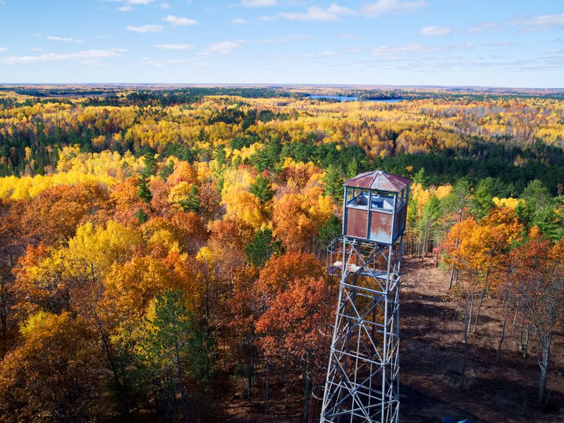 Summer and Fall Trail Transformations
