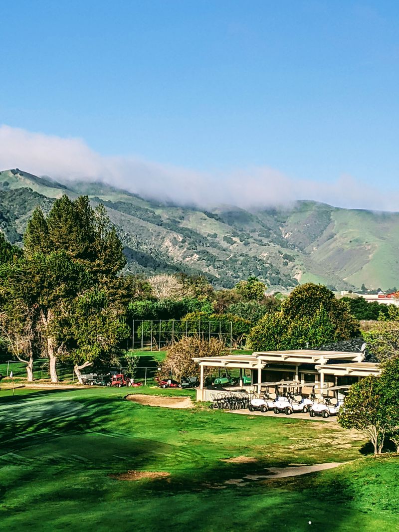 City Snapshot and Essentials