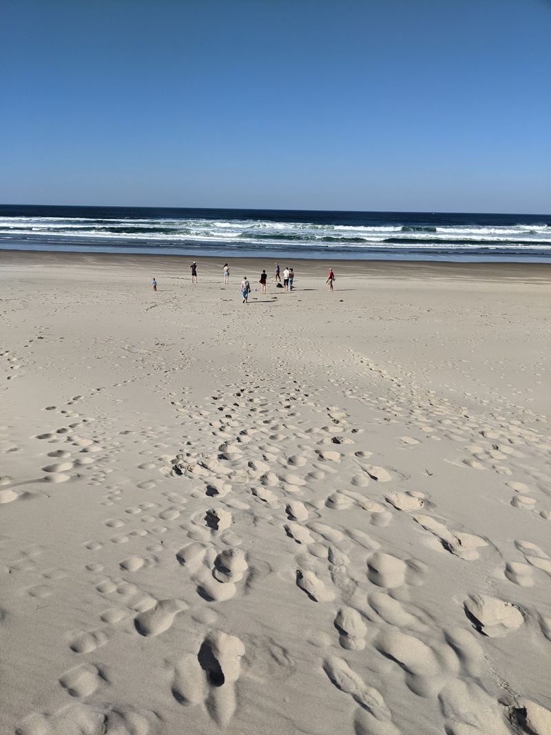 Tide Pool Exploration at Low Tide
