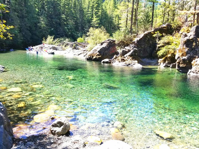 Opal Creek Wilderness Ancient Forest Pools