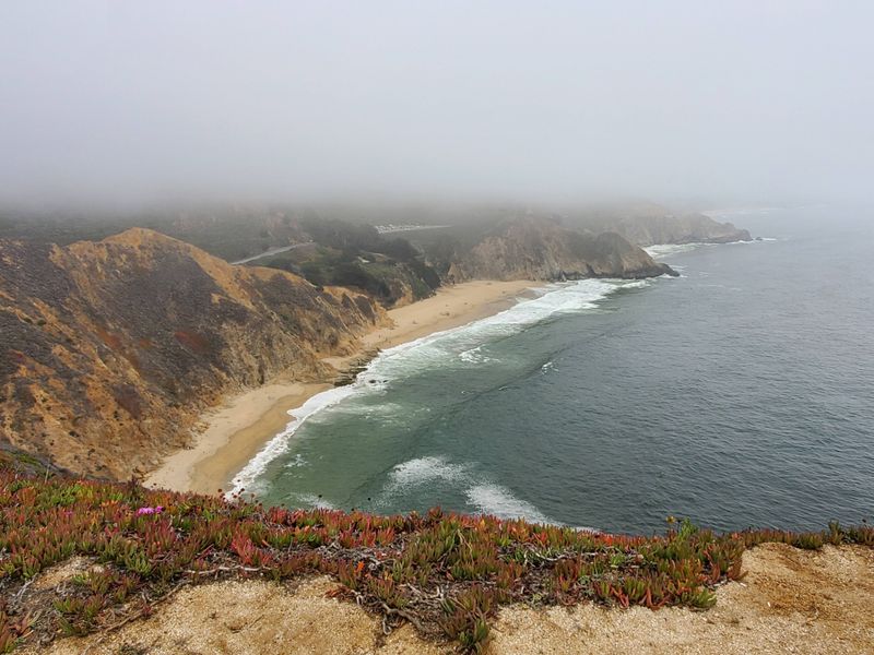 Gray Whale Cove