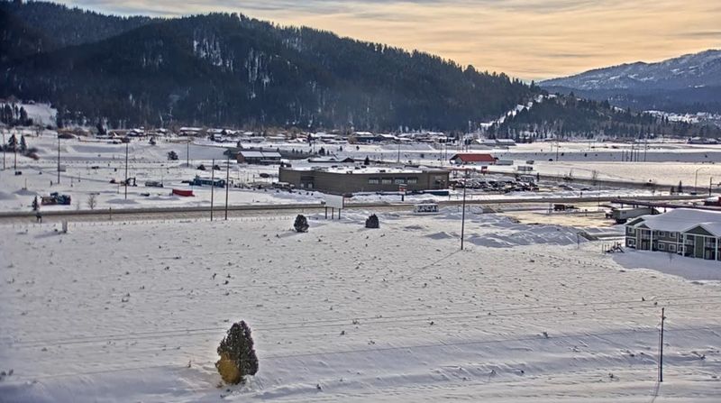 Alpine Feed Ground Wildlife Viewing