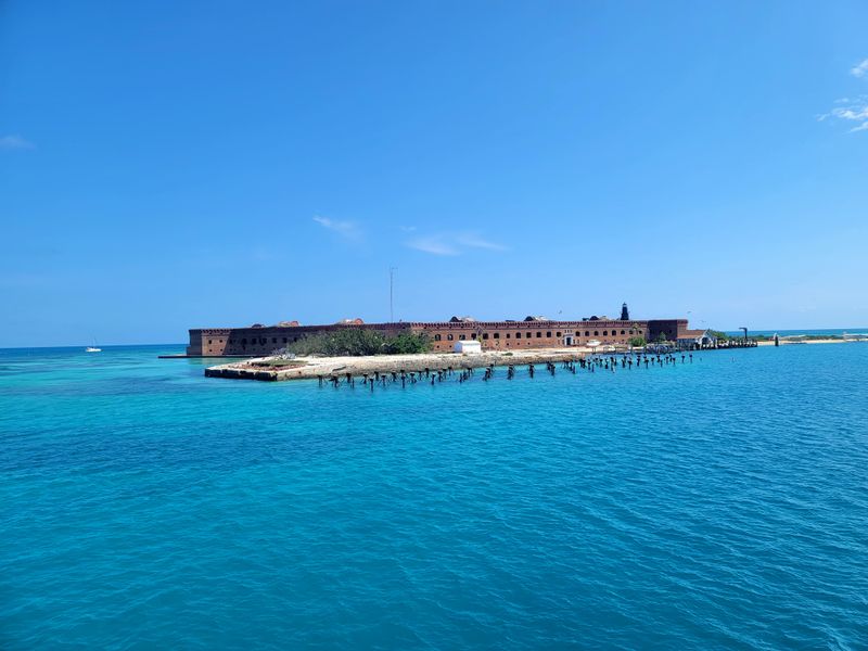 Birdlife on the Tortugas flyway