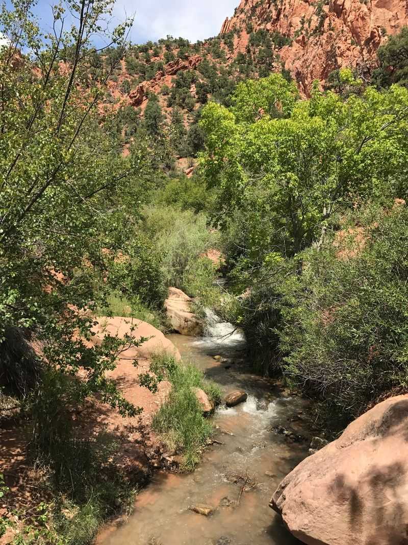 Tiny Town Lunch That Resets Everything