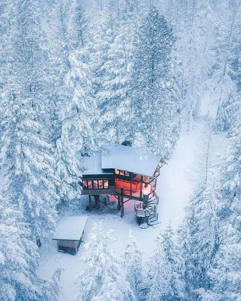 Montana Treehouse Retreat